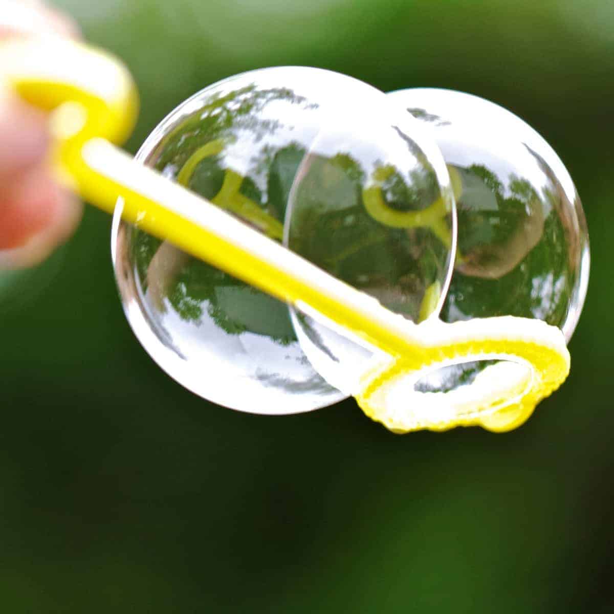 Bubble Bild