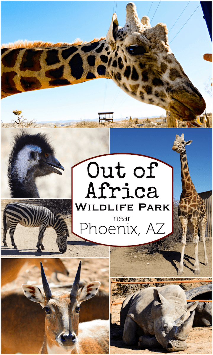 Out of Africa Wildlife Park Arizona - Review with Video