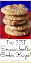Best Snickerdoodle Recipe