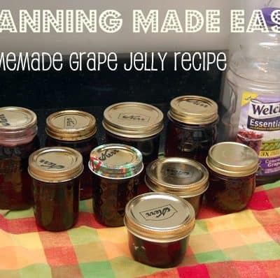 homemade grape jelly