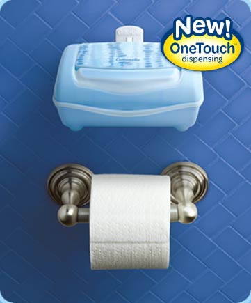 Potty Training: Flushable Wipes vs. Toilet Paper