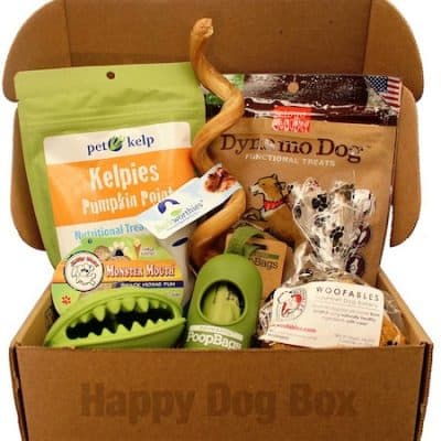 happy dog box example