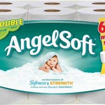 Angel Soft coupon