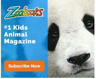 zoobooks