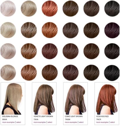 Hair Stylist Color Chart