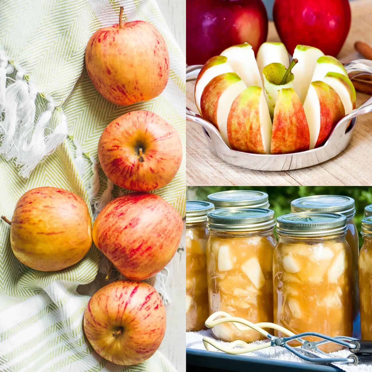 Canning Easy Apple Pie Filling Recipe for Pies, Crisps and ...