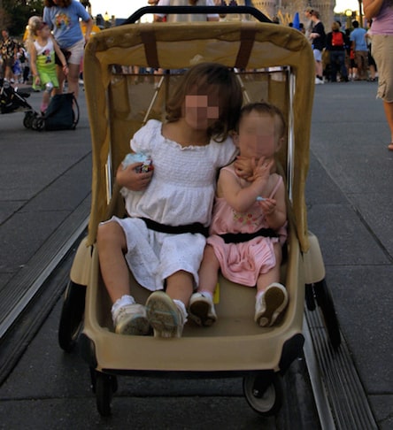 how much to rent double stroller at disney world