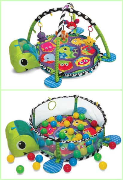 turtle play gym