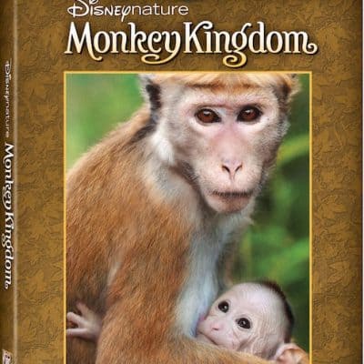 Disneynature Monkey Kingdom Review with printable activity sheets