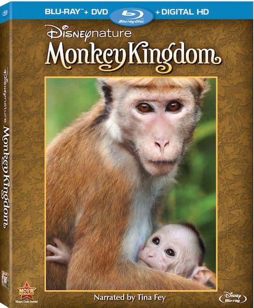 Disneynature Monkey Kingdom Review with printable activity sheets