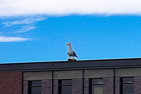 Pixar Animation Studios seagull statue on building