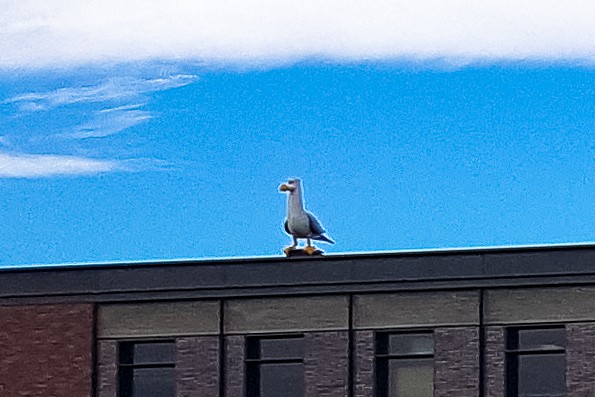Pixar Animation Studios seagull statue on building