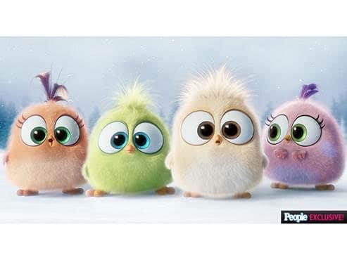Angry Birds Cakes How To Make Angry Birds Cakes How To Make