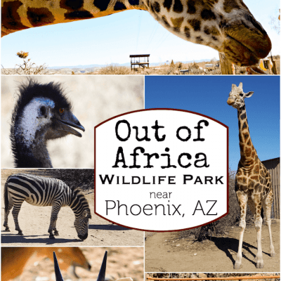 Out of Africa Wildlife Park Arizona Review