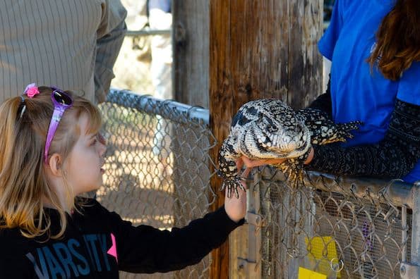 Out of Africa Wildlife Park Arizona petting zoo