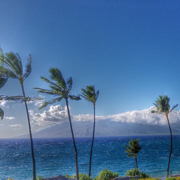 maui tropical plantation zipline review