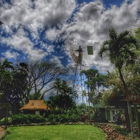 zipline at maui tropical plantation review