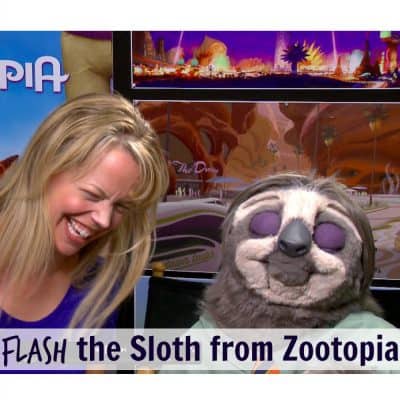 flash sloth puppet