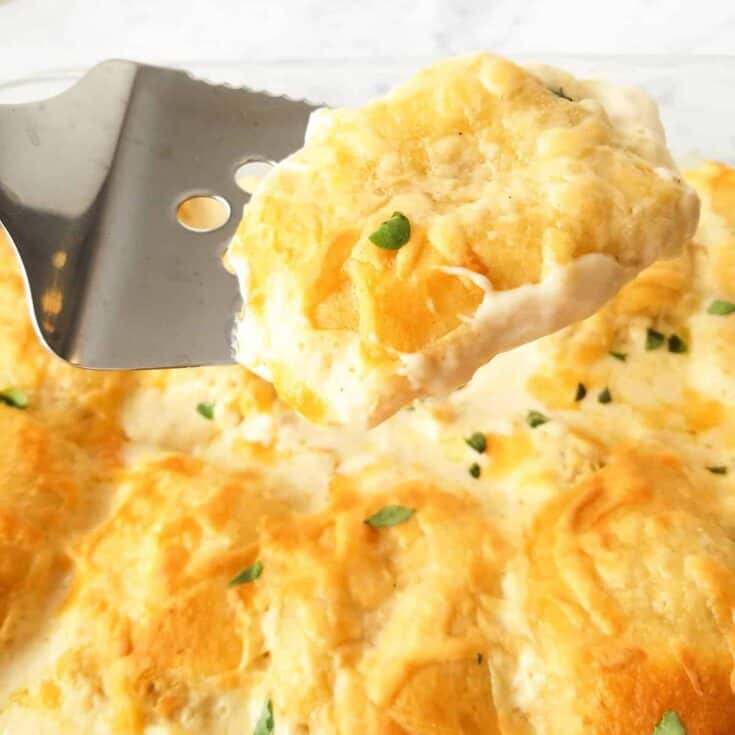 Chicken Alfredo Crescent Roll-Ups Recipe