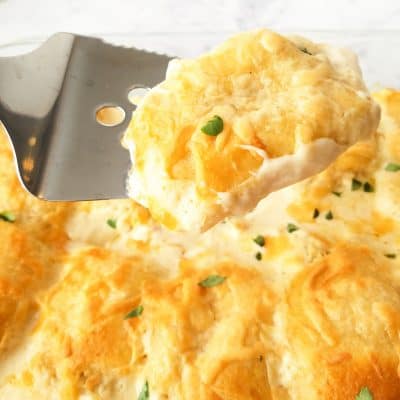 chicken alfredo crescent roll ups recipe