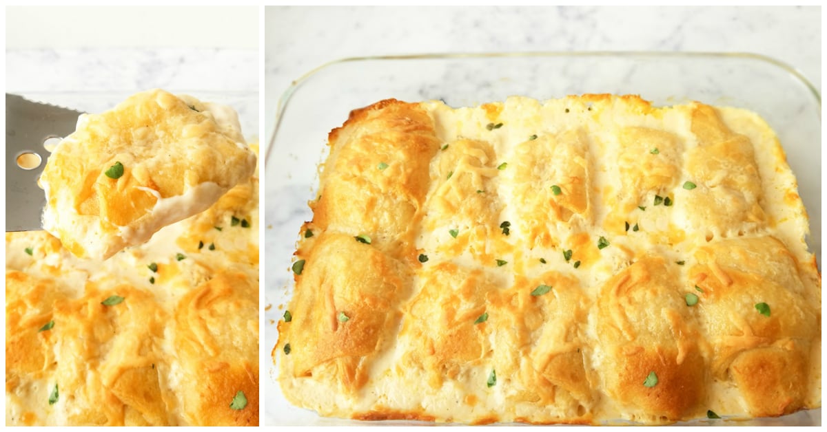 Chicken Alfredo Crescent Rolls