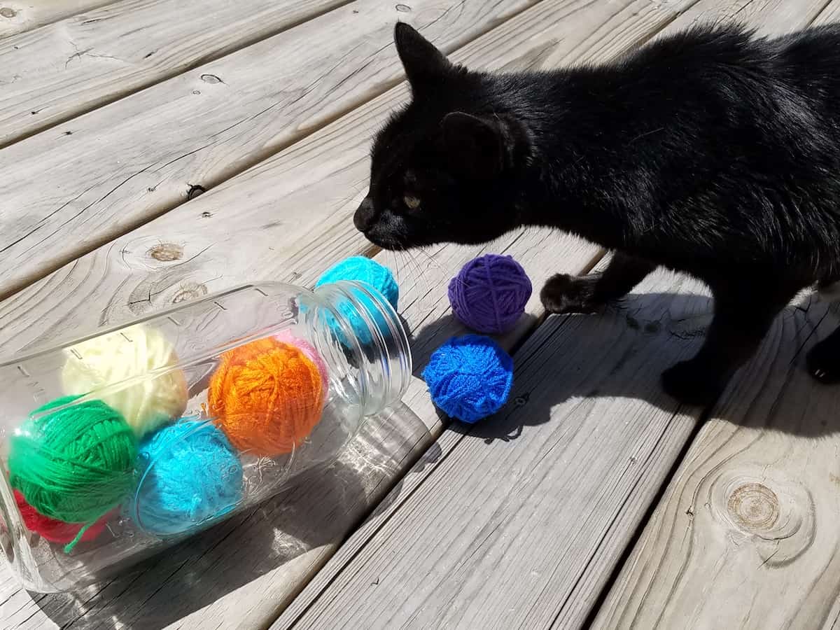 How To Make An Easy Homemade Cat Toy No Sewing No Knitting 