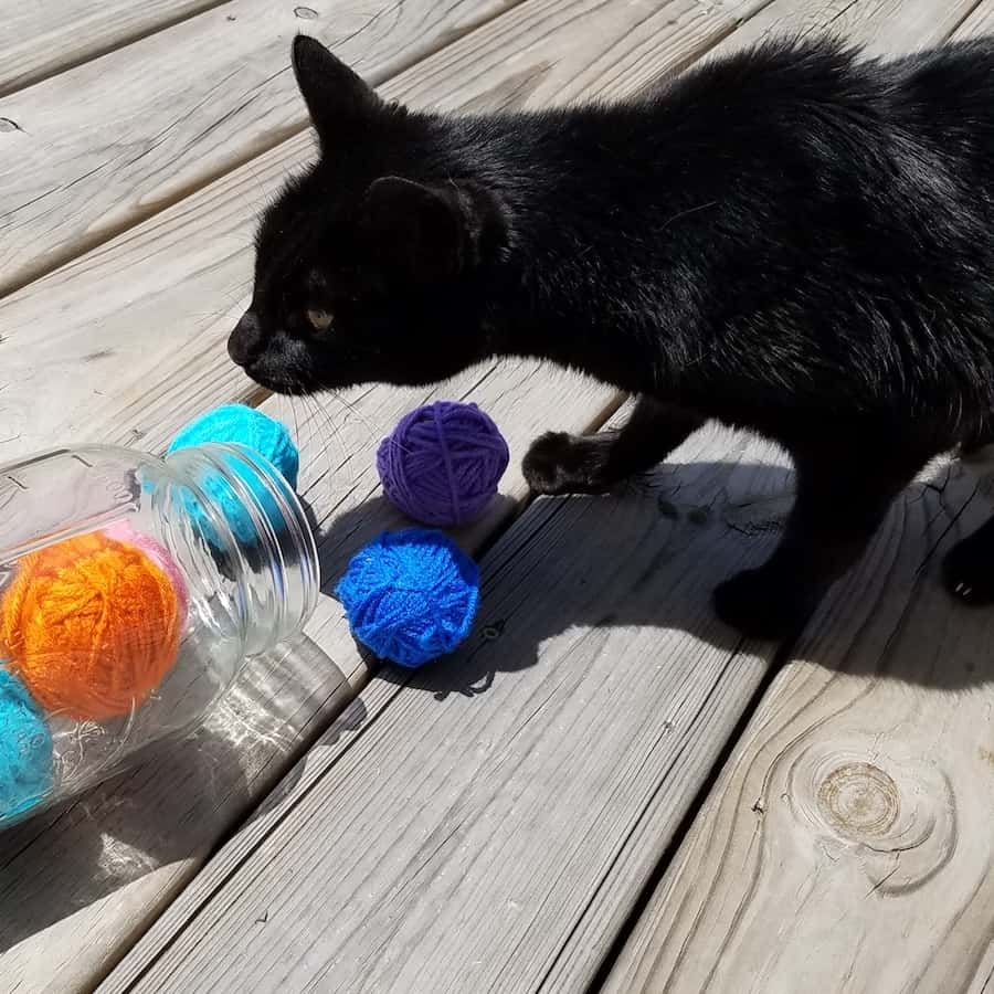 Cat Toys,wool Ball,high Quality Cat Toys Bright Colored Yarn Cat