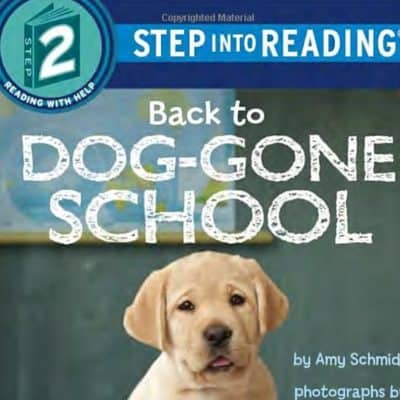 kids books