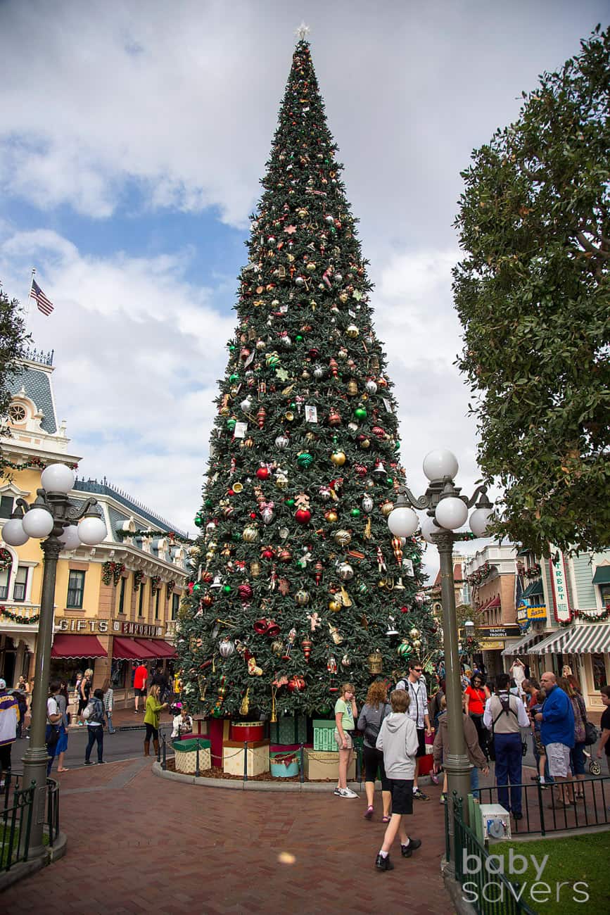 Best Disneyland Christmas