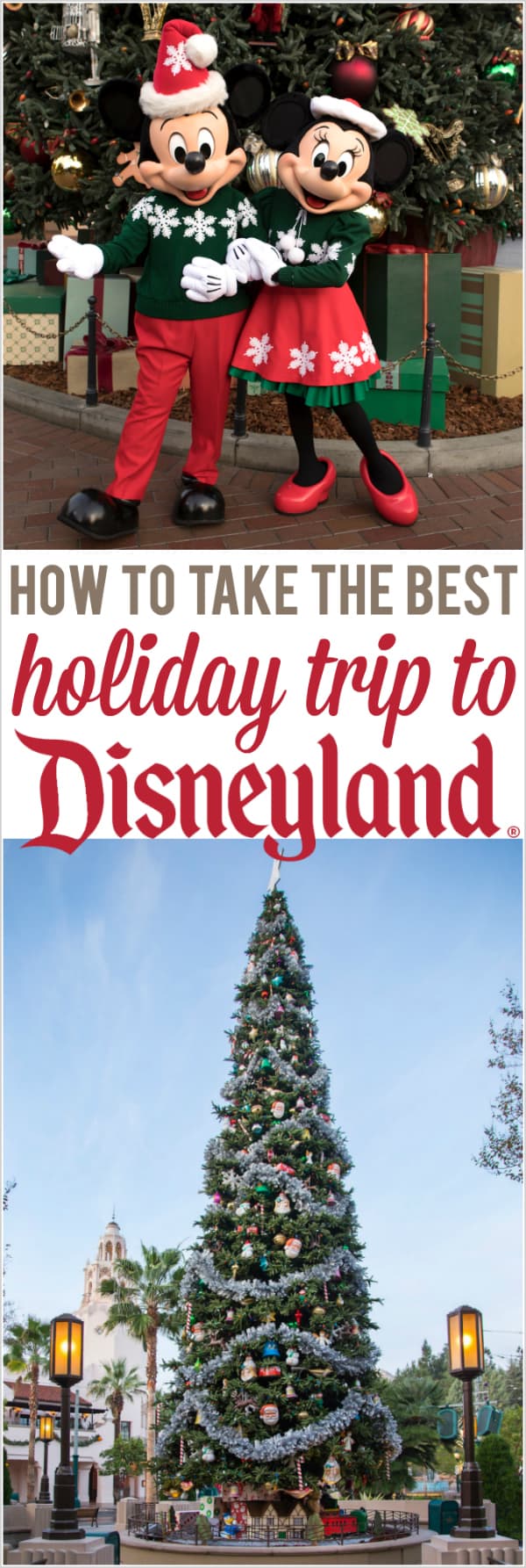 Best Disneyland Christmas