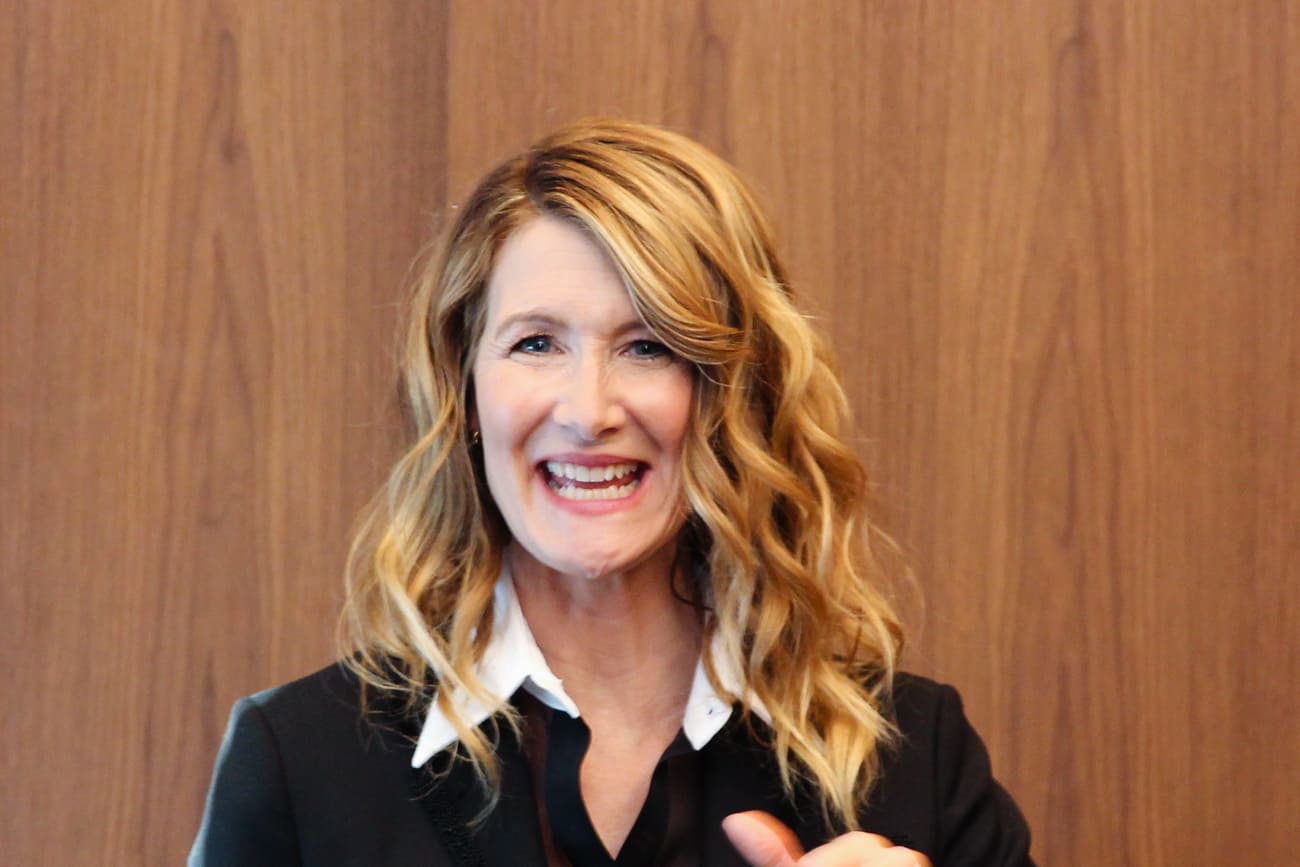 Who is Admiral Holdo? Laura Dern's Purple Haired 'Last Jedi