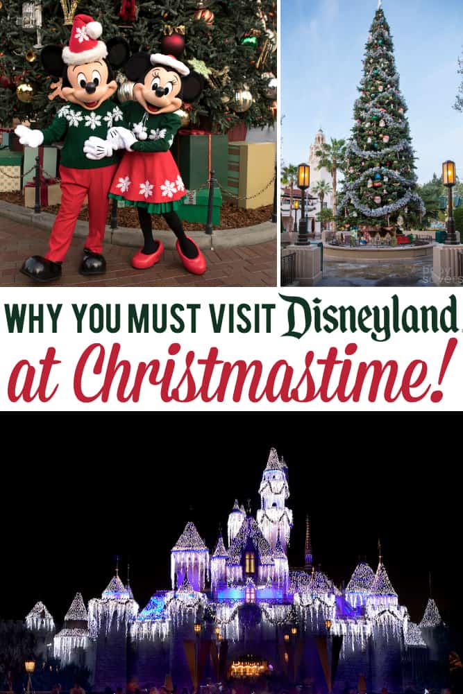 Best Disneyland Christmas