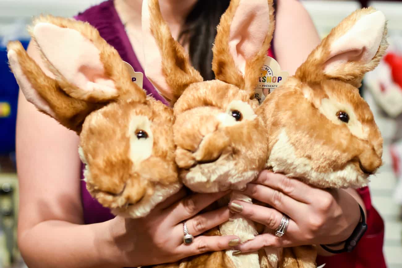 Unstuffed Peter Rabbit at Build-a-Bear Workshop 