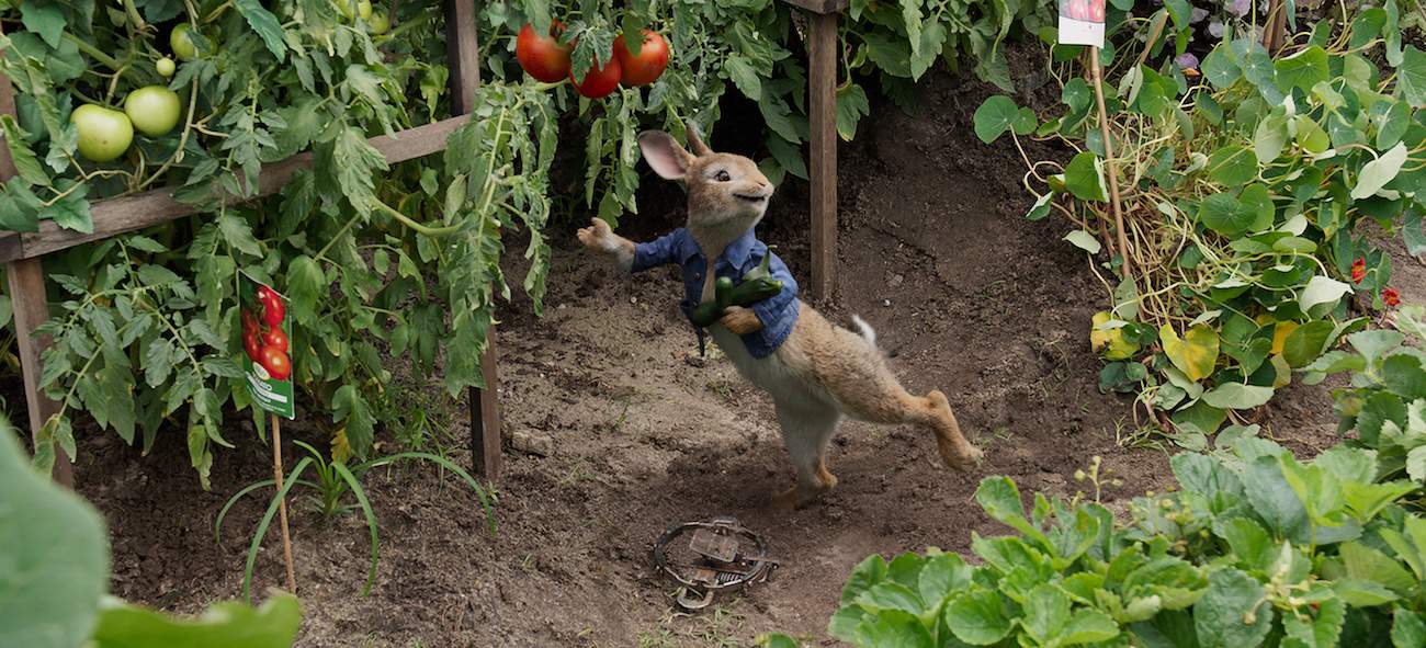 Peter rabbit in garden parent's review