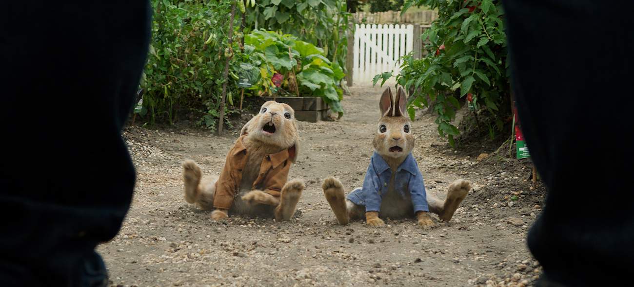 benjamin bunny and peter rabbit in Peter Rabbit movie