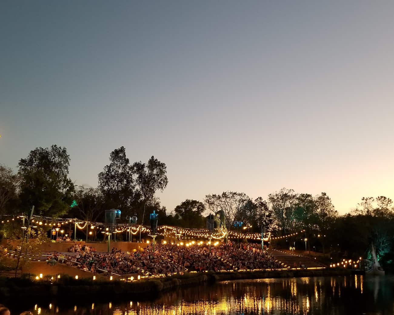 Disney world picture at night at Animal Kingdom