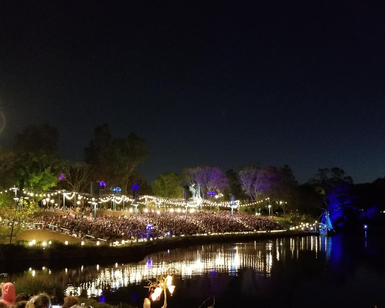 night picture of animal kingdom