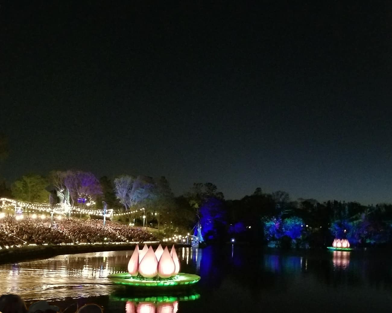 How to take Better Disney World Pictures at Night