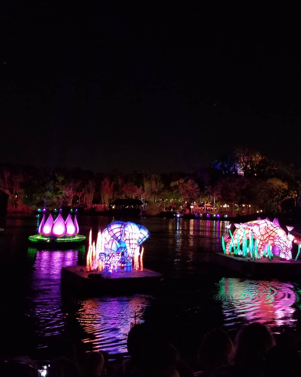 how to take better disney world pictures at night