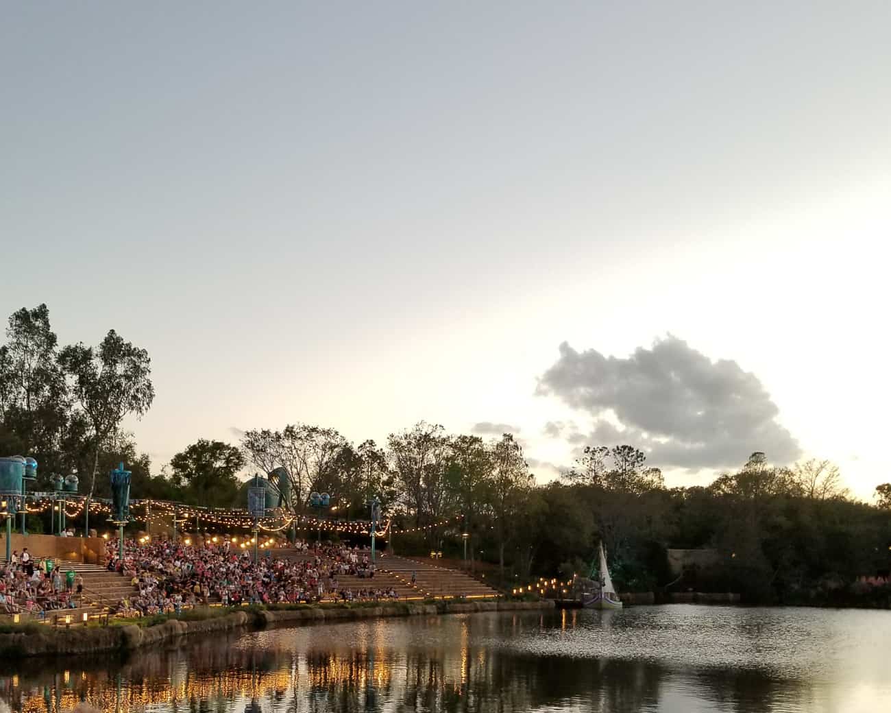 animal kingdom just before twilight