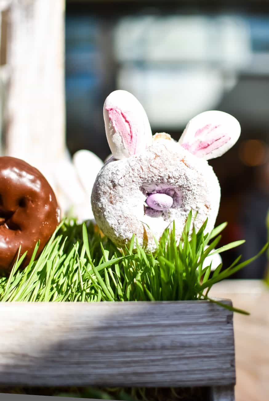 rabbit doughnut at Peter Rabbit premiere