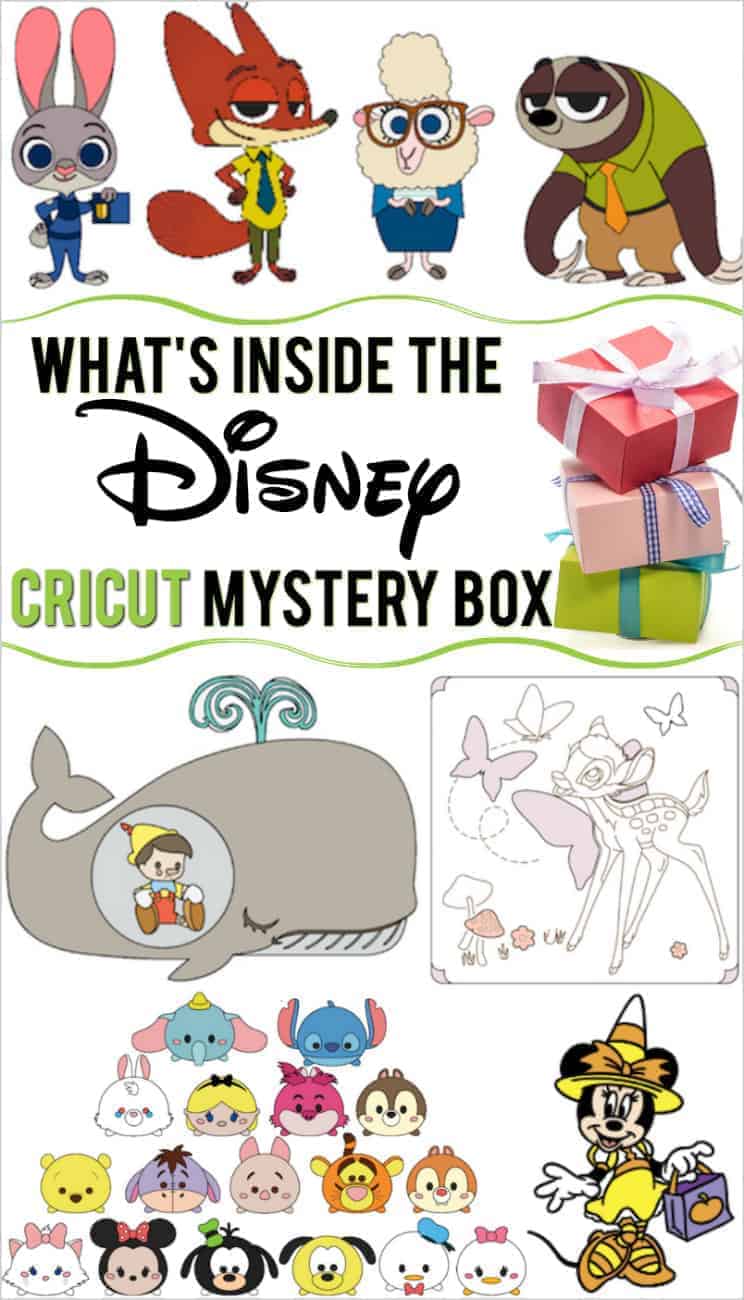 Cricut Disney mystery box