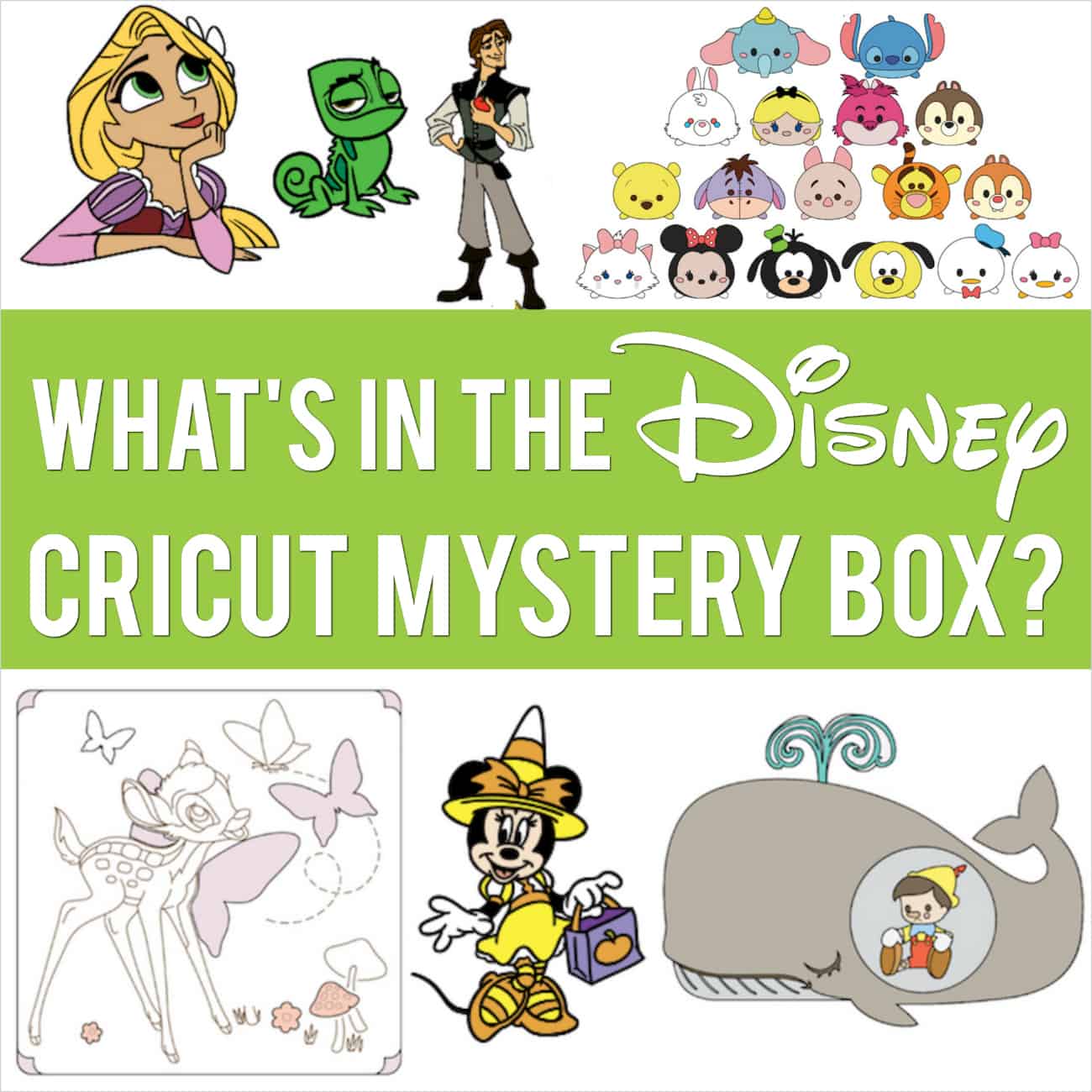 Cricut Disney Mystery Box