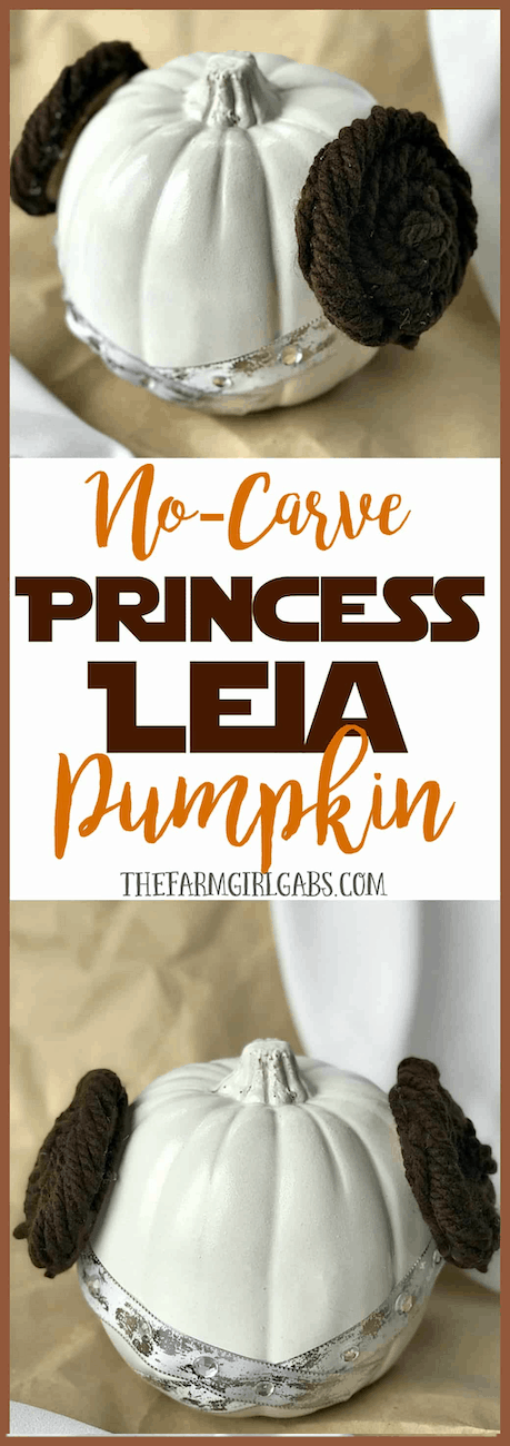 Princess Leia Star Wars painted pumpkin