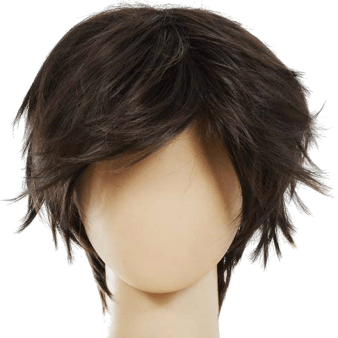 Male Short Hair Wig (Dark Brown)