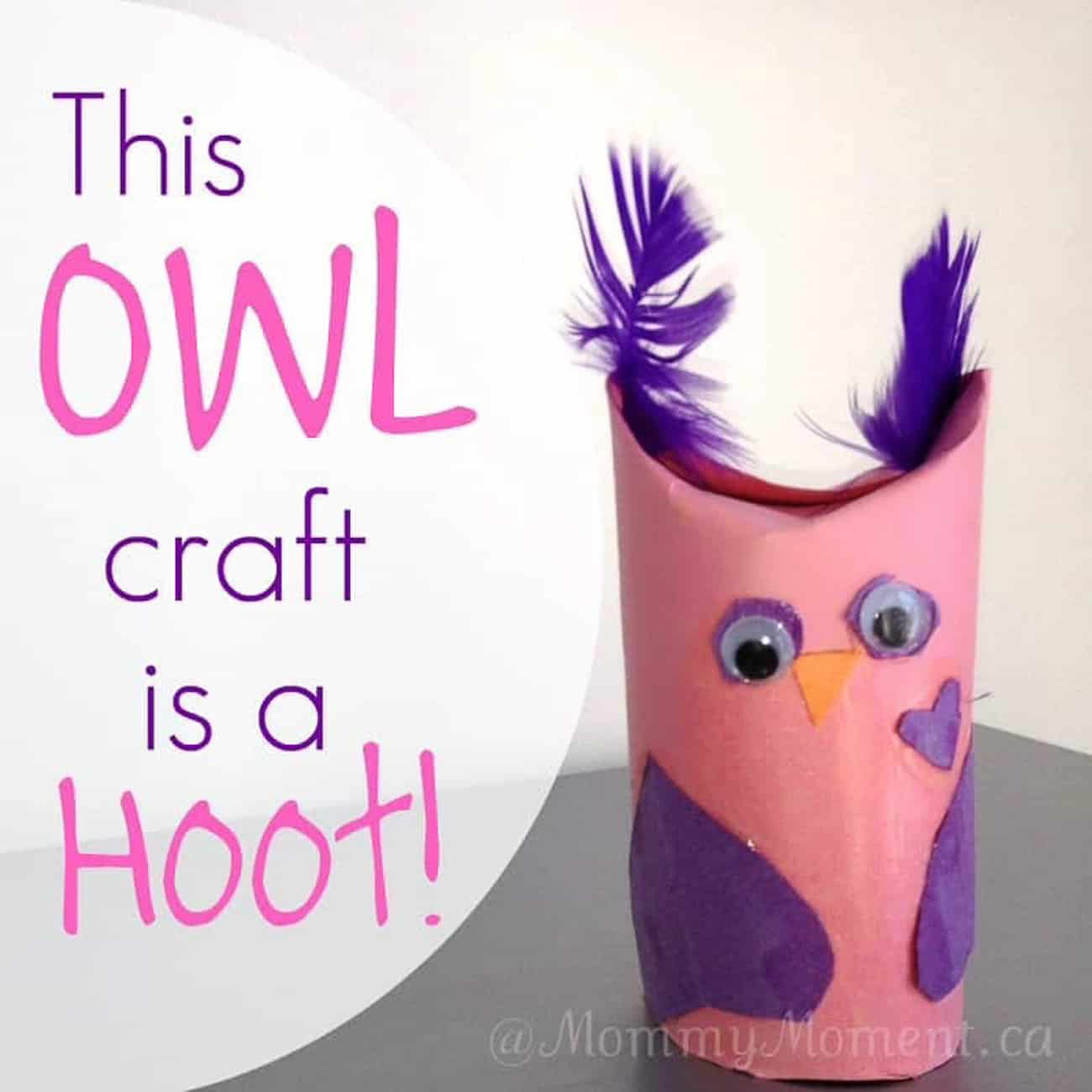 Valentine Crafts for Kids toilet paper owl