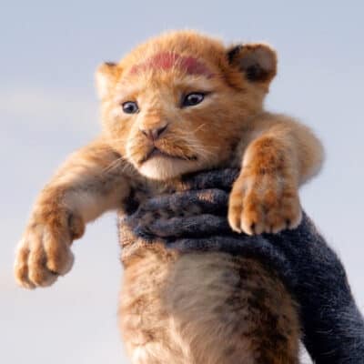 The Lion King 2019 baby simba