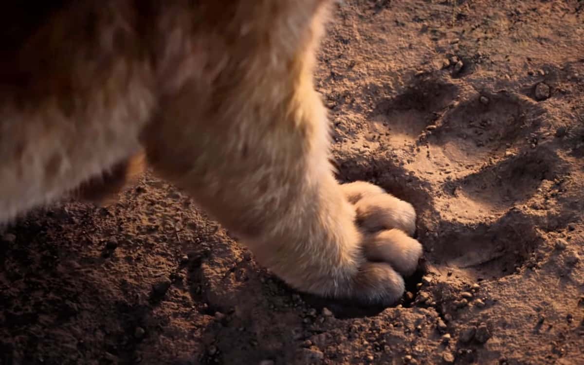 The Lion King 2019 Simba footprint