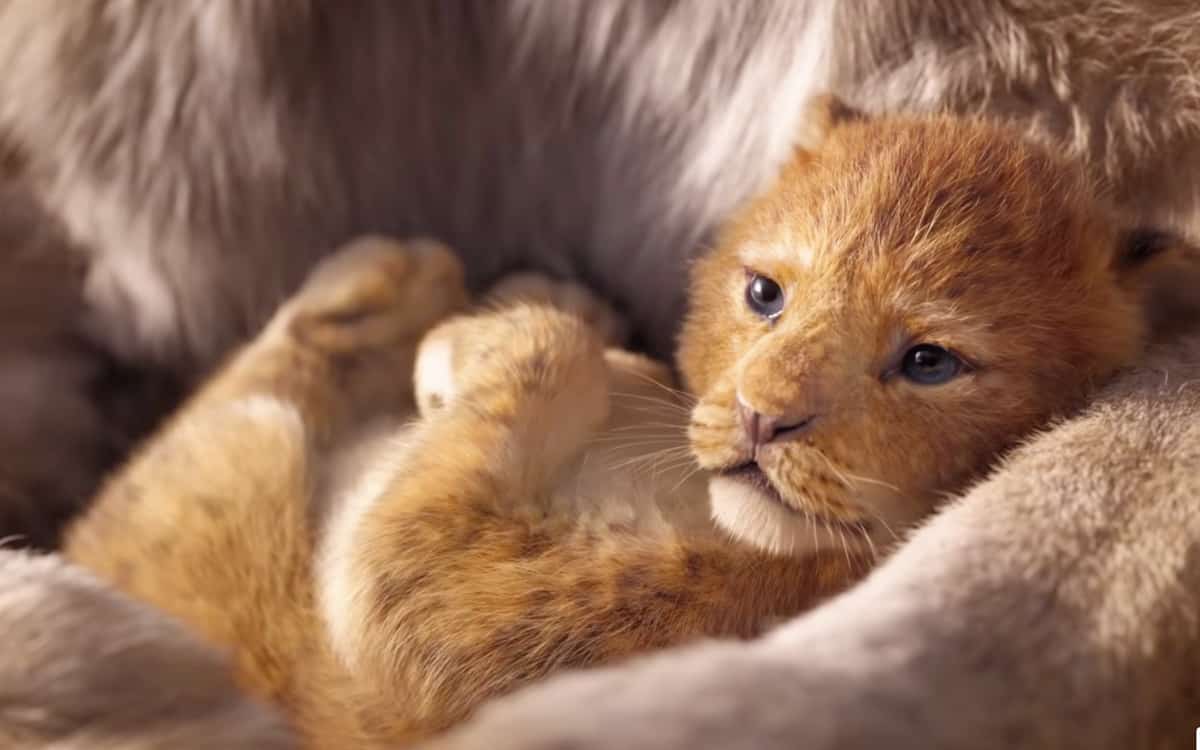 The Lion King 2019 baby simba