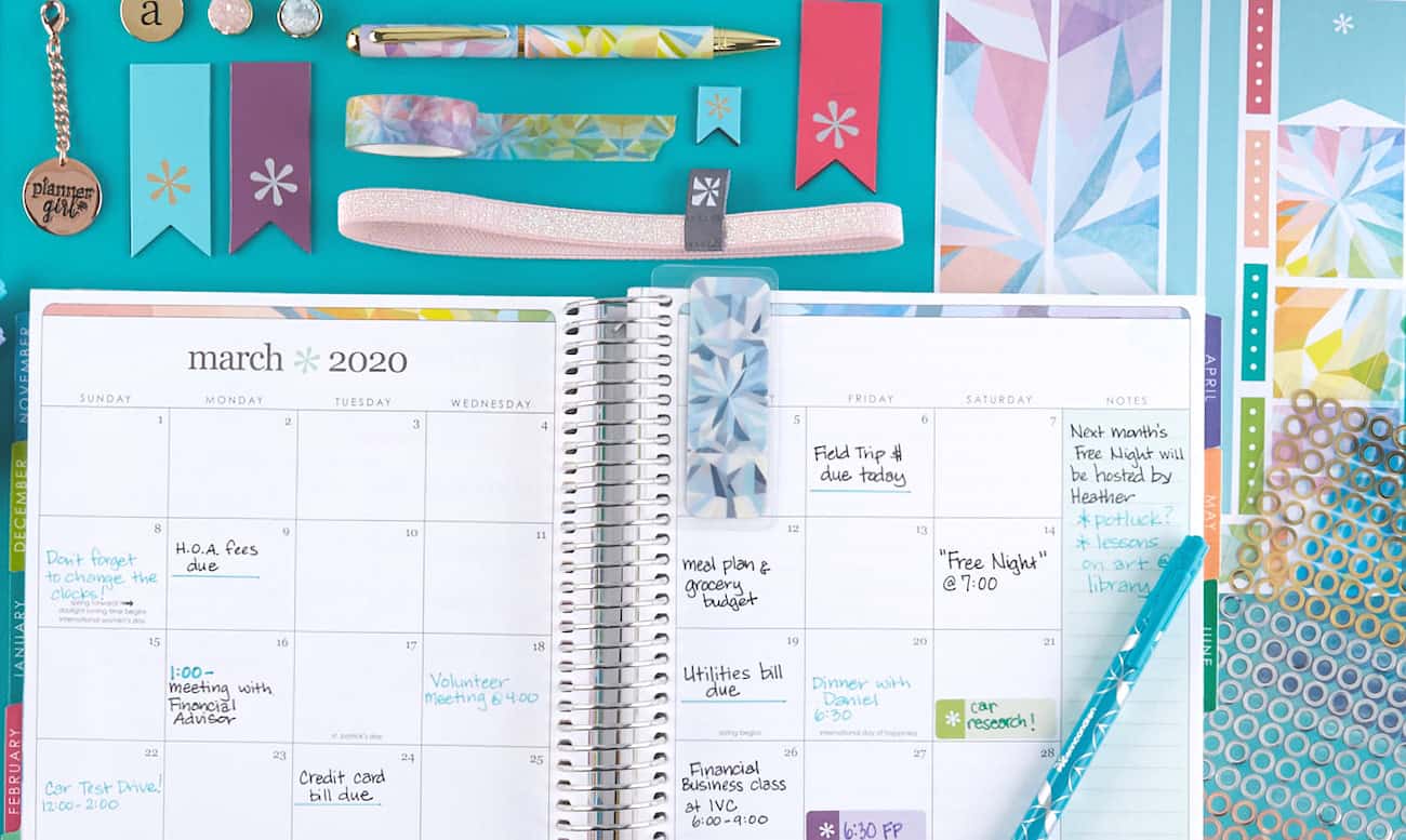 Erin Condren Deluxe Monthly Planner